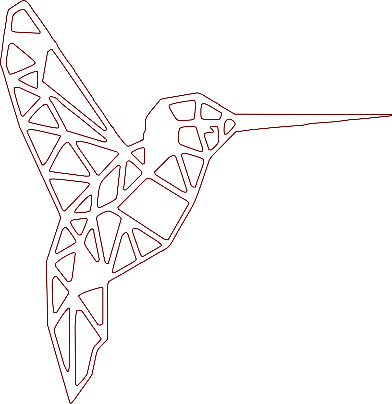 colibrí