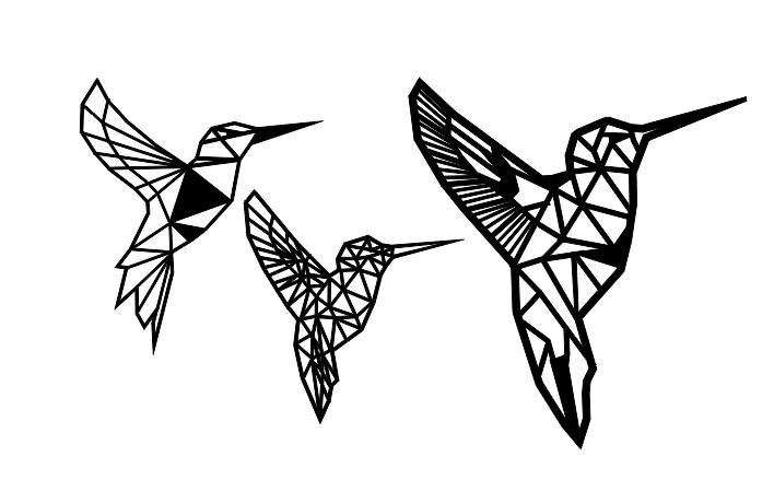 colibríes