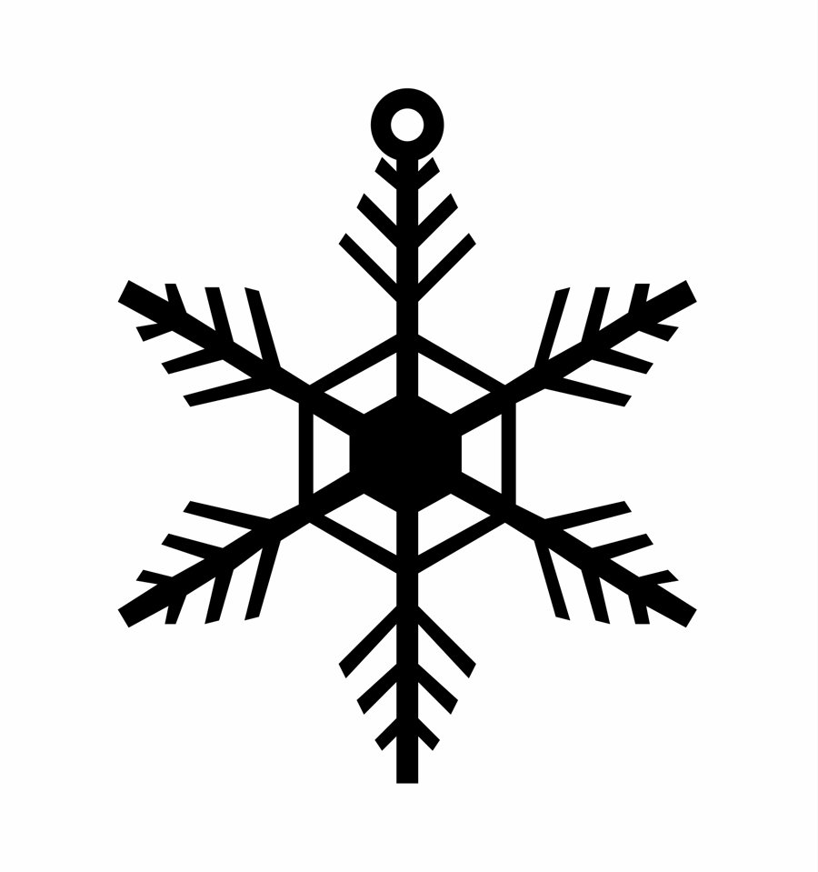 copo de nieve 100