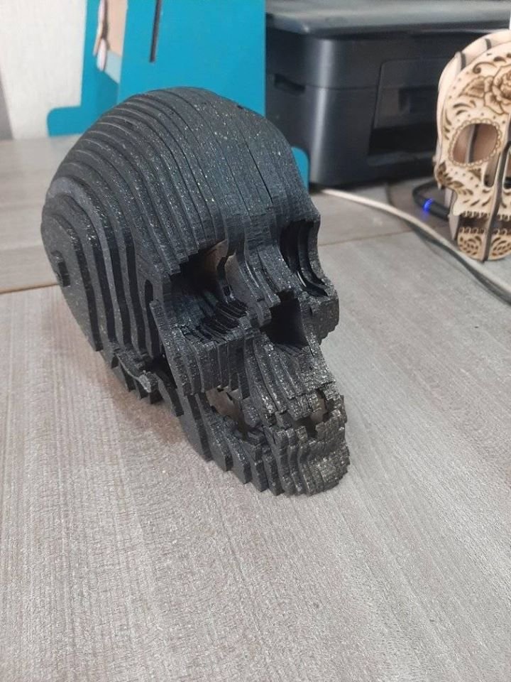 cráneo humano 3d