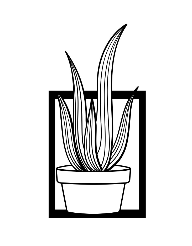cuadro con cactus 7