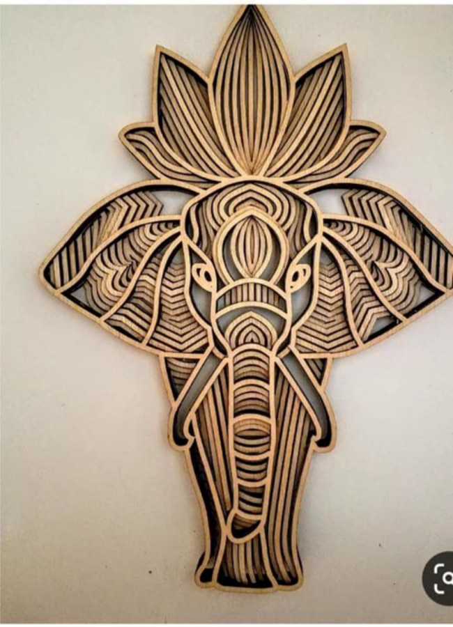 elefante de frente