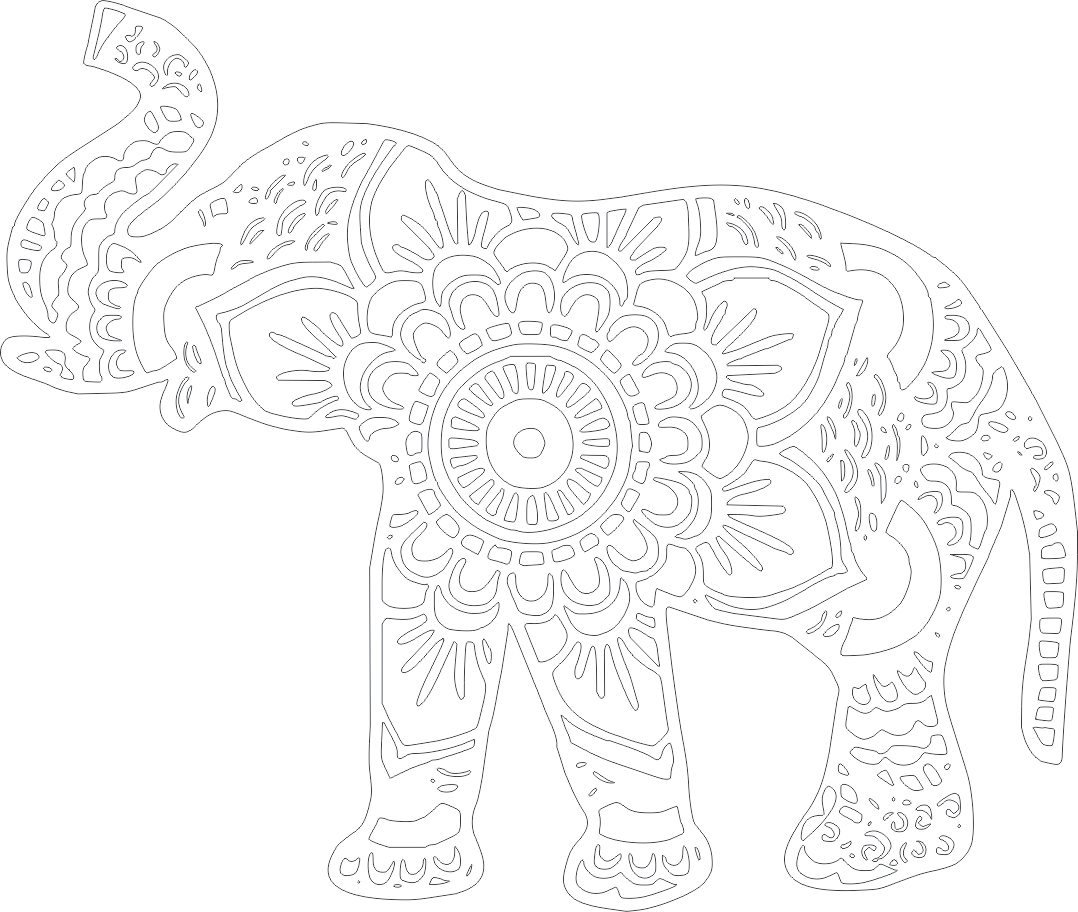 elefante hindú 2