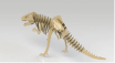 esqueleto armable de dinosaurio 2