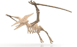esqueleto de pterodáctilo