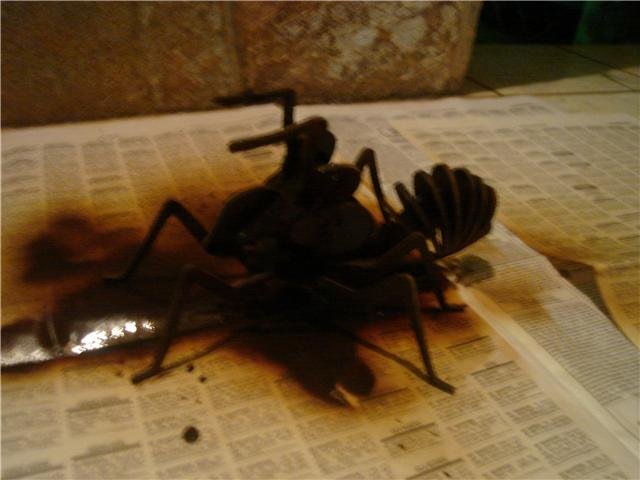 hormiga 3d armable