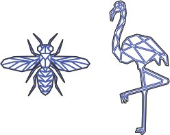 insecto y flamenco