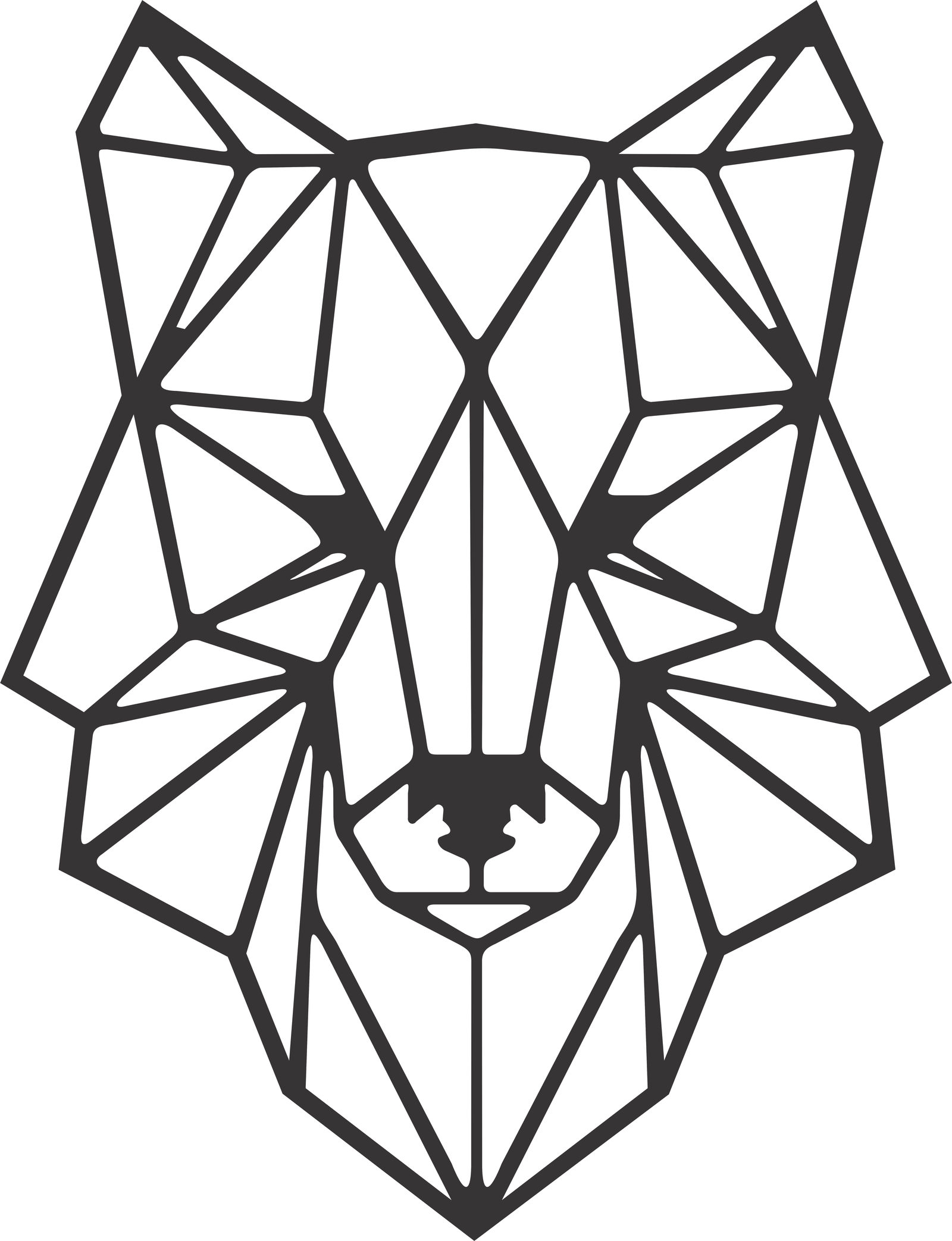 lobo geométrico 2