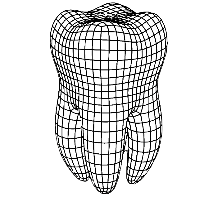 muela 3d
