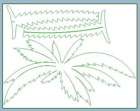 palmera
