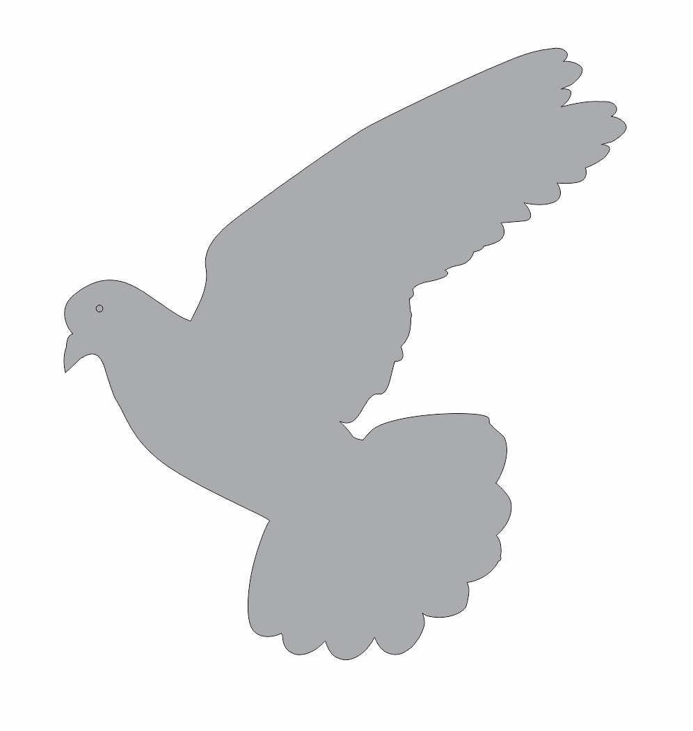 paloma de perfil