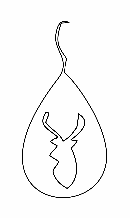 par de aretes 66