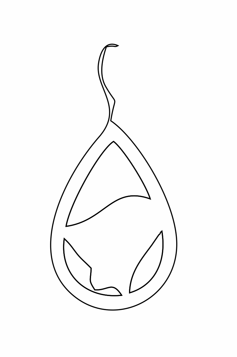 par de aretes 68