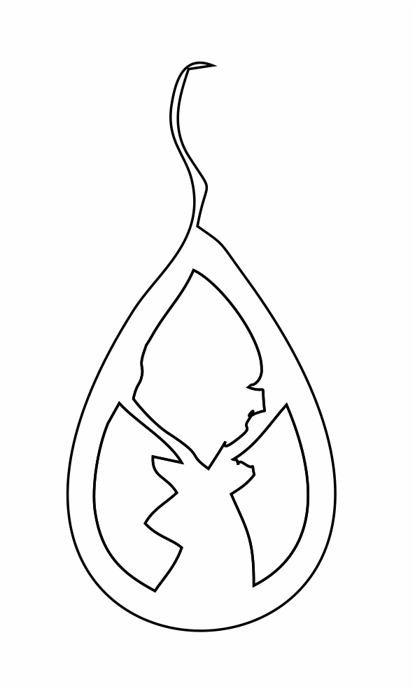 par de aretes 78