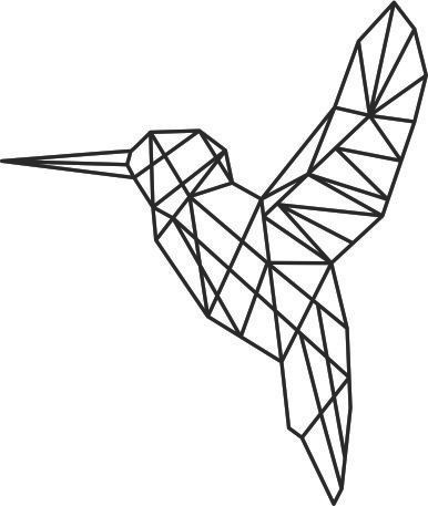 perfil de colibrí