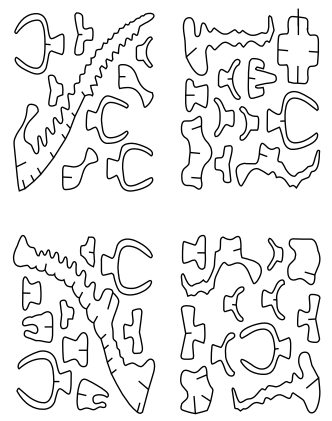rompecabezas apatosaurio