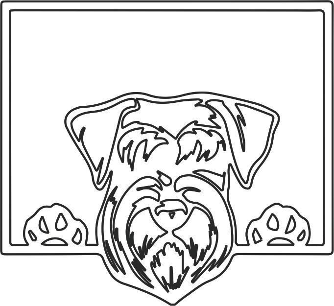 schnauzer