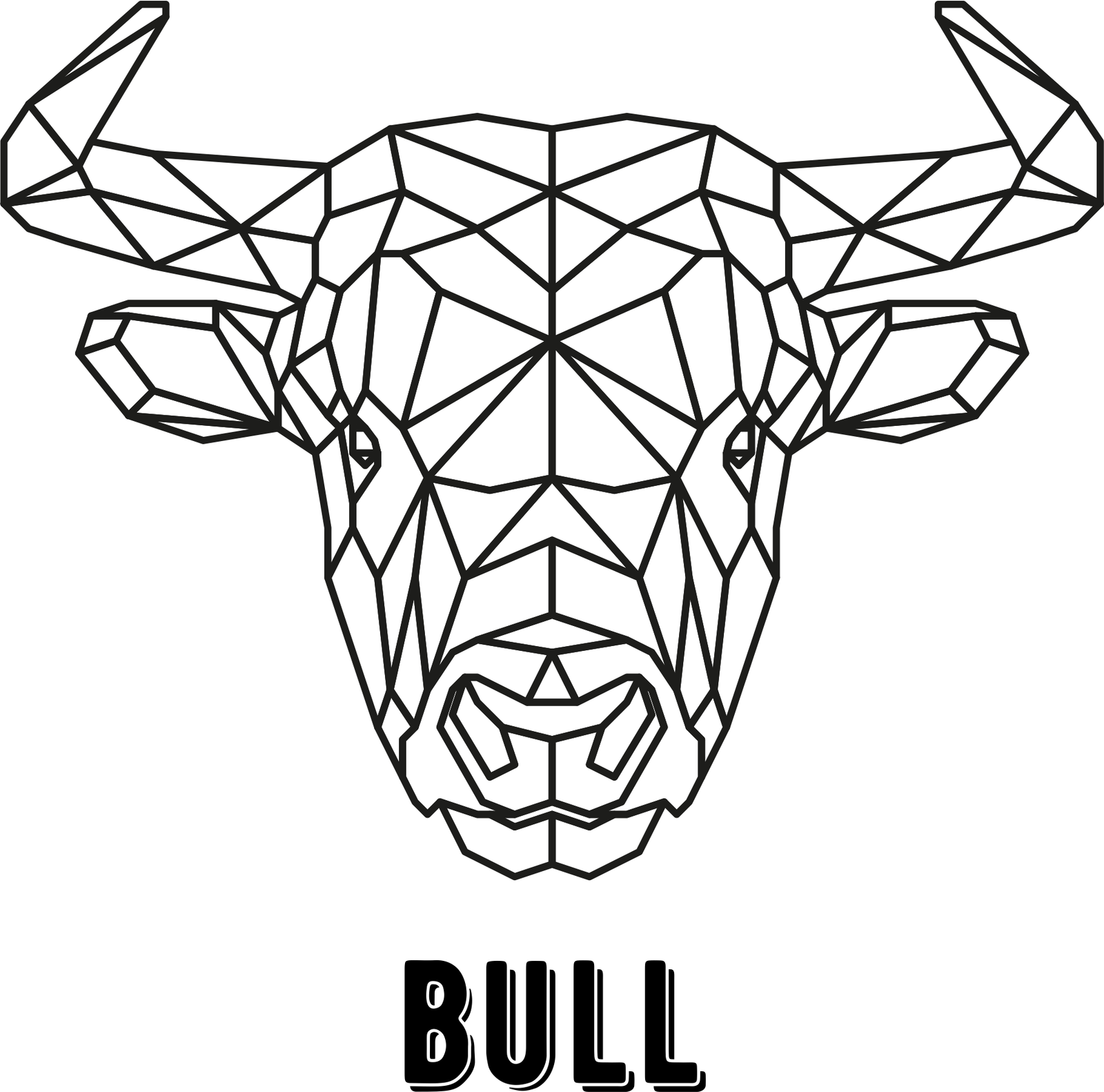 toro geométrico