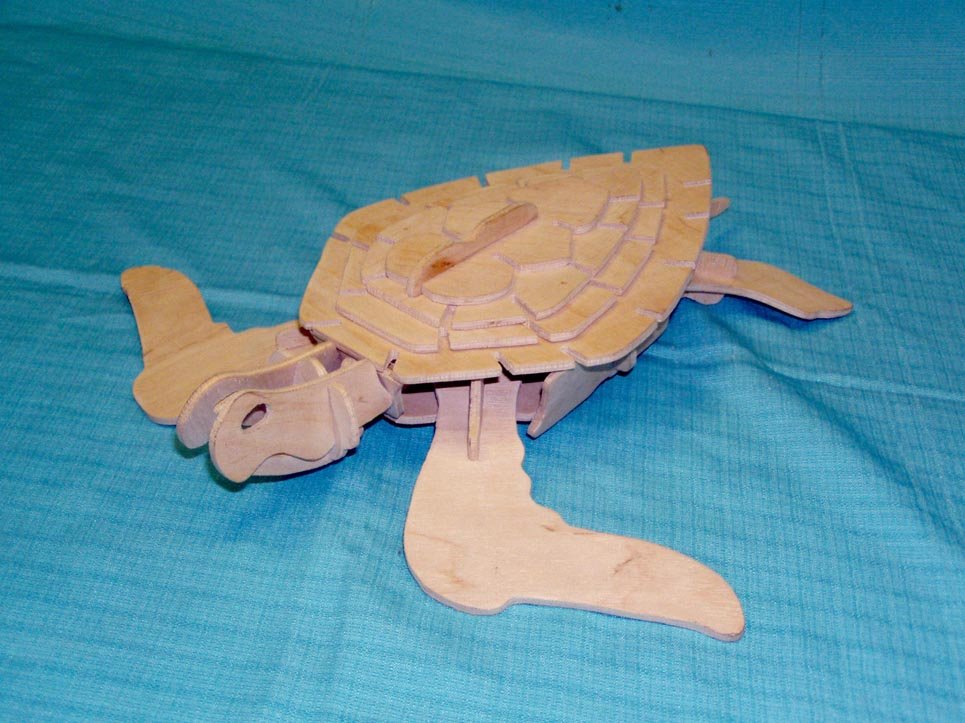 tortuga
