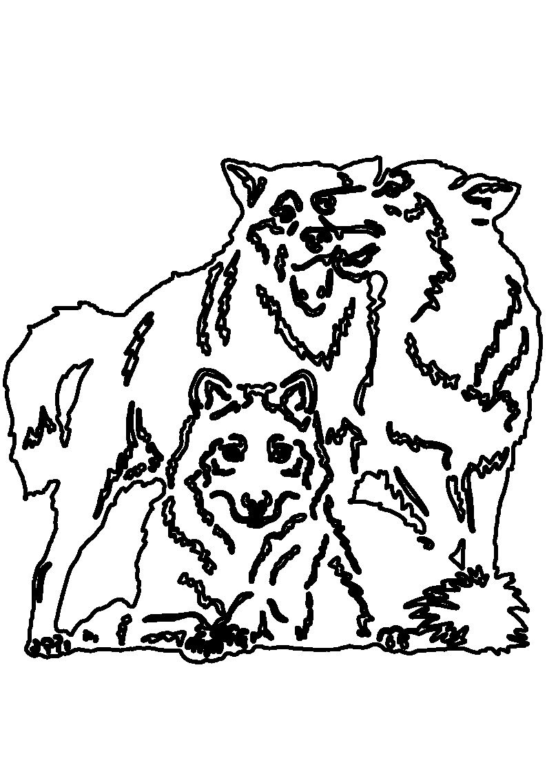 trío de lobos