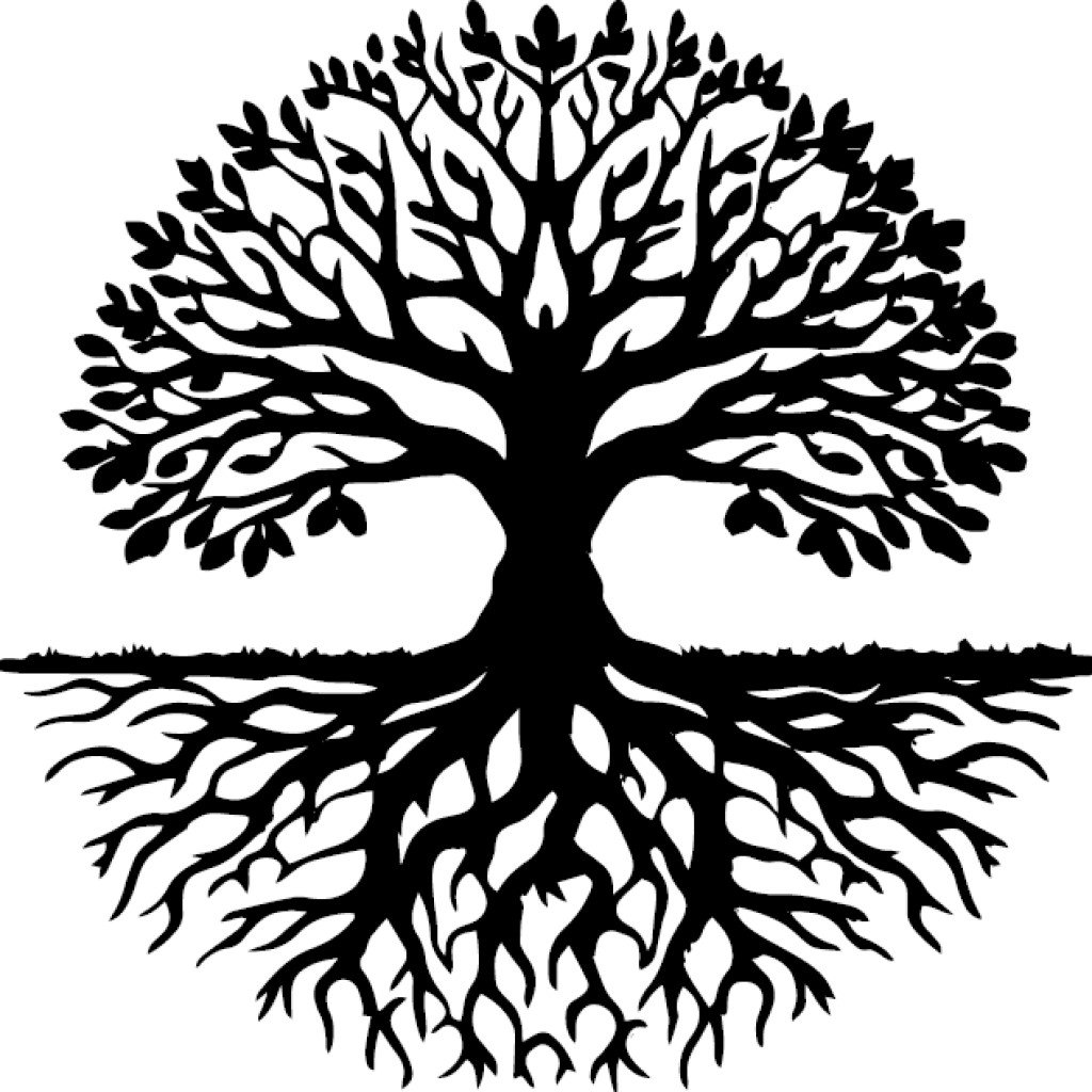 árbol con raíces