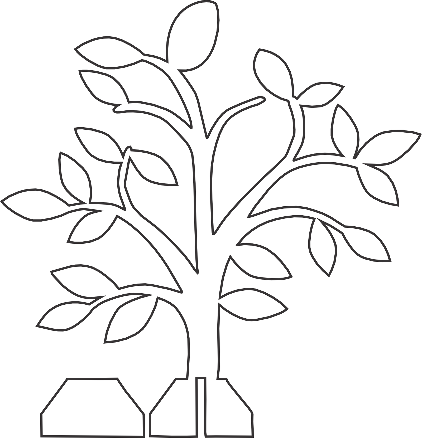 árbol de ramas y hojas escasas