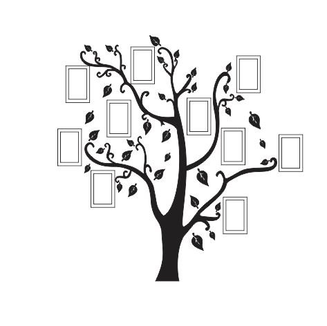 árbol para fotos