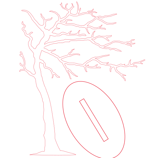 árbol sin follaje