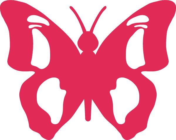 beauty butterfly