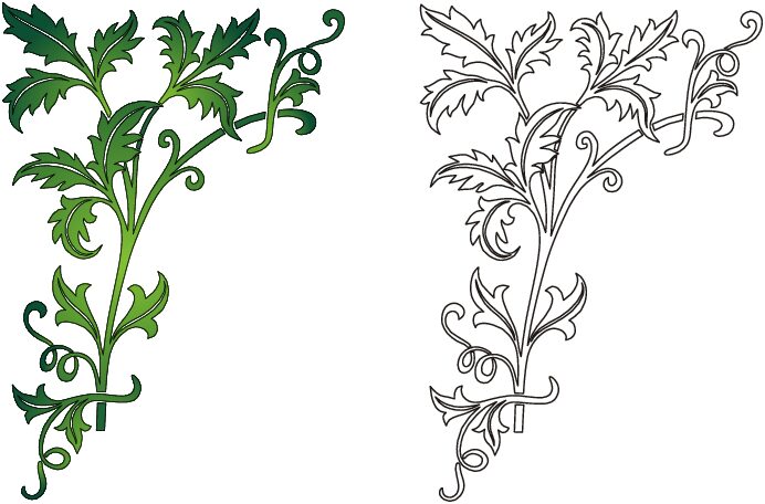 enredadera verde