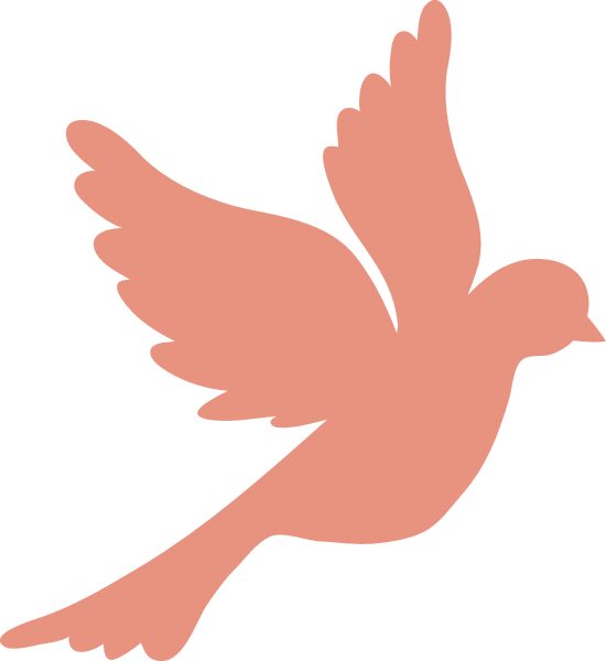 golondrina