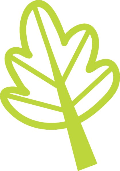 hoja naturaleza