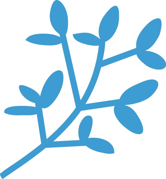 hojas de olivo