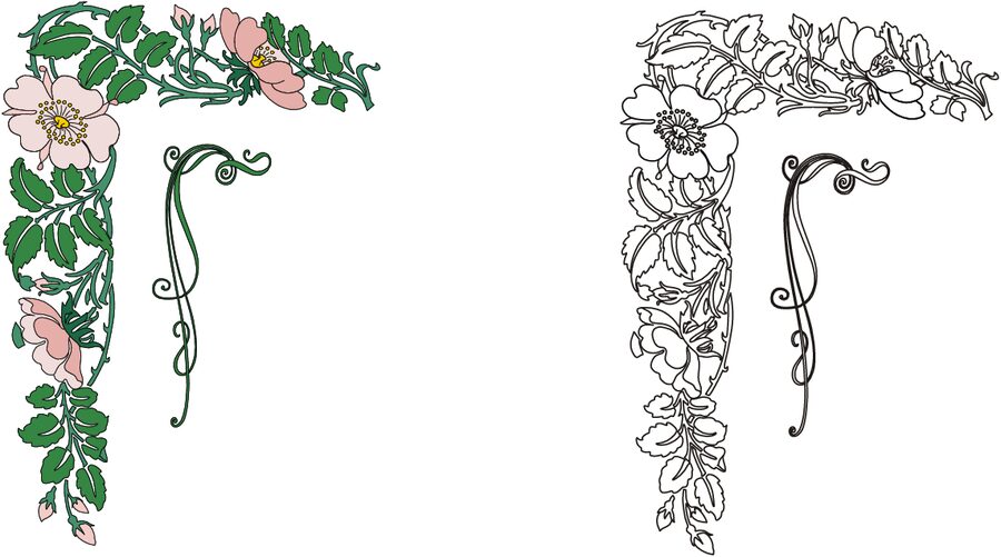 marco floral