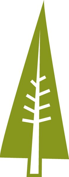 árbol pino